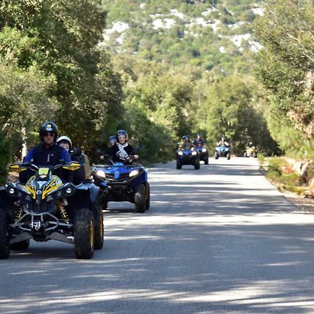 Domu Ala - Bynos Homes Baunei Dış mekan fotoğraf