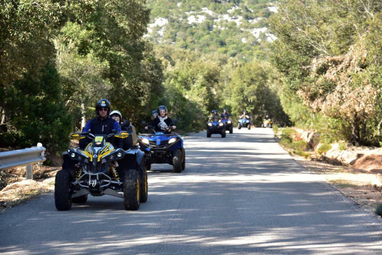 Domu Ala - Bynos Homes Baunei Dış mekan fotoğraf
